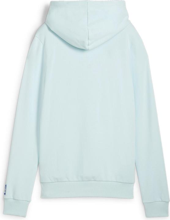 Produktbild Puma Handball Hoodie Women (M)