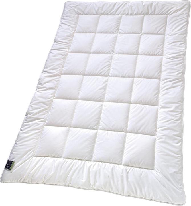 Actual product image Billerbeck Classic-Clean (800 g, 135x200 cm, Hollow fiber)