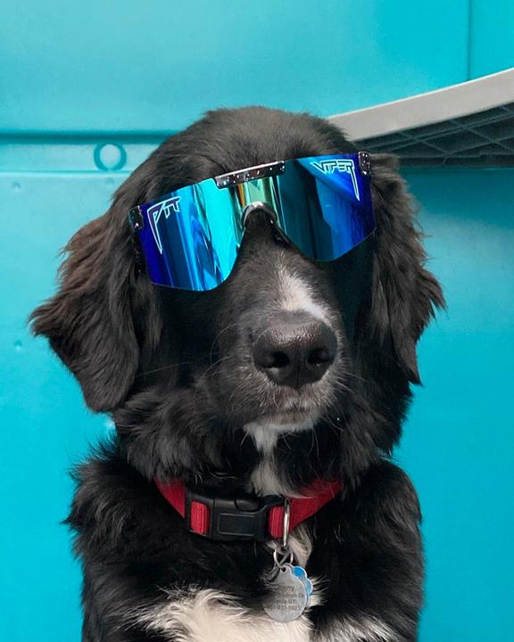 Actual product image Pit Viper The Hail Sagan XS (Black, Blue)