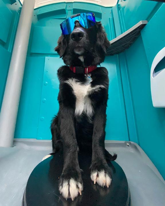 Actual product image Pit Viper The Hail Sagan XS (Black, Blue)