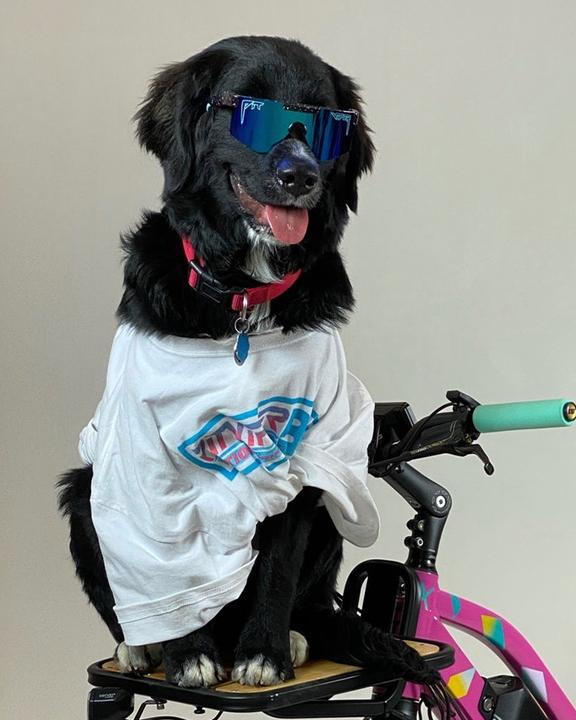 Actual product image Pit Viper The Hail Sagan XS (Black, Blue)