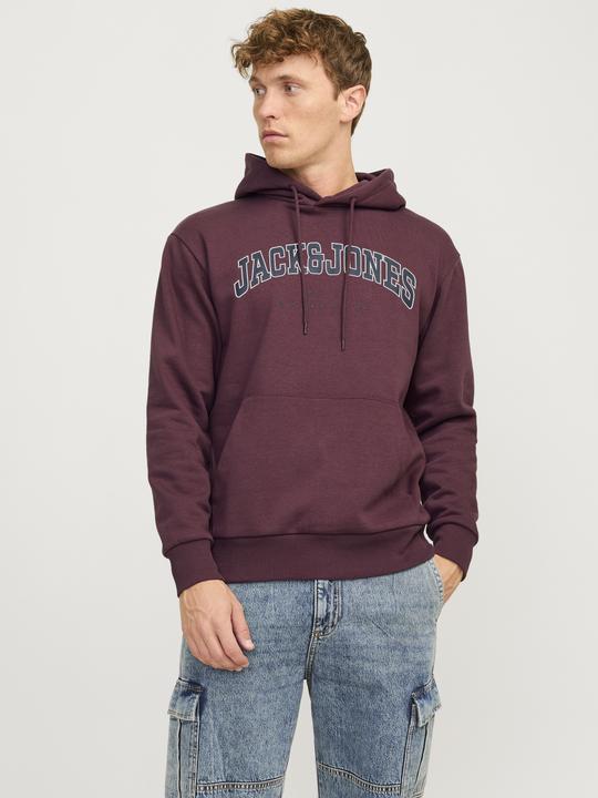 Immagine prodotto Jack & Jones Jjecaleb Varsity Sweat Hood Noos (S)