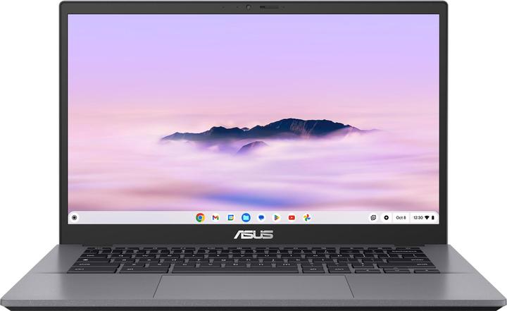 Actual product image ASUS Chromebook CX3 (14.02", 256 GB, 8 GB, CH, Intel Core 3 100U)