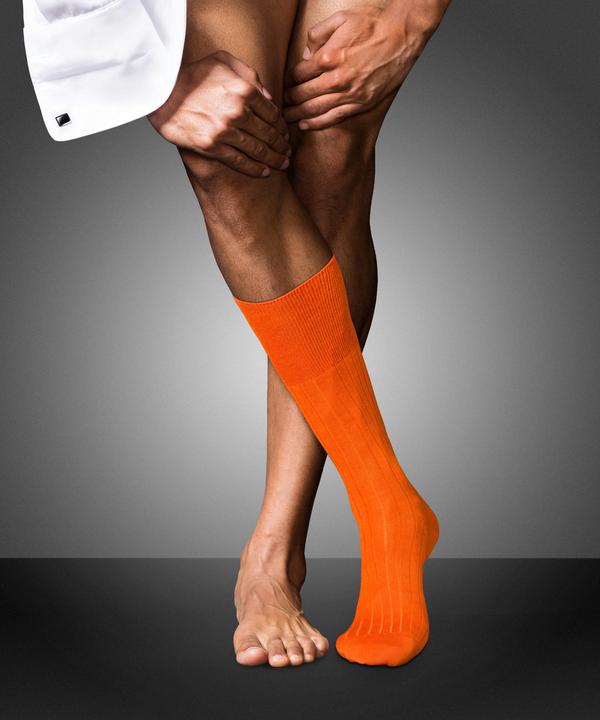 Image du produit Falke No. 2 SO (Une unité par pack, 43 - 44)