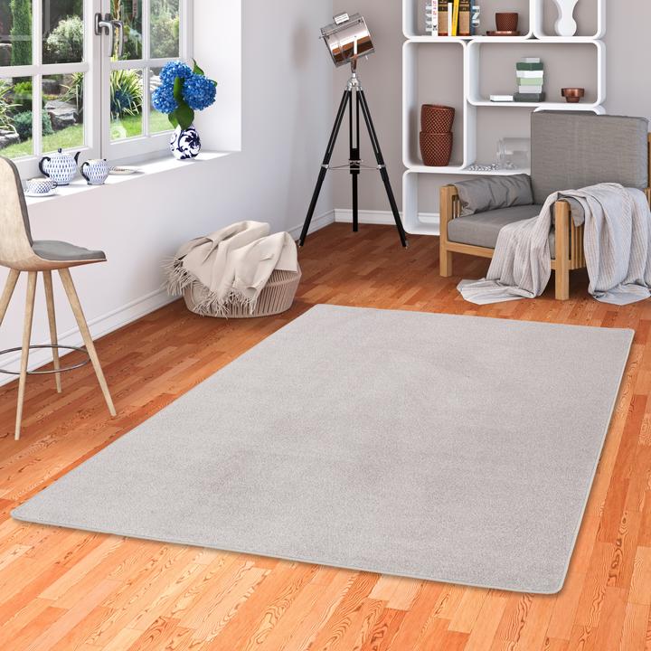 Produktbild Snapstyle Trend Velours Teppich Joy (200 x 300 cm)