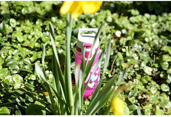 Produktbild Sigg Viva One (0.50 l)