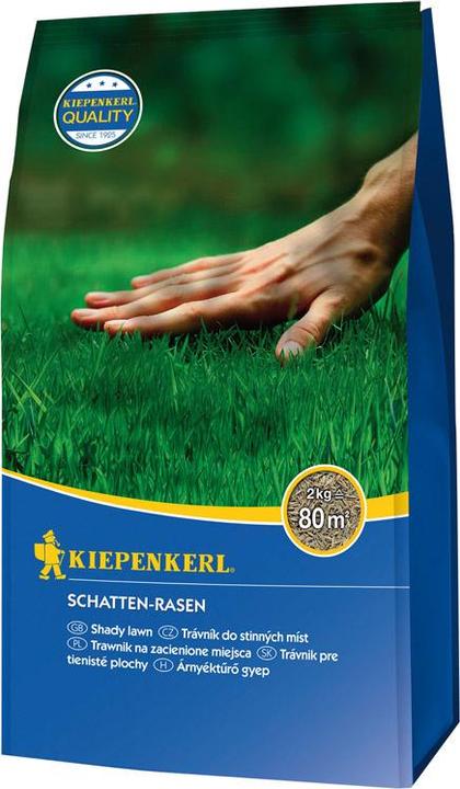 Kiepenkerl Kiep. Shadow lawn