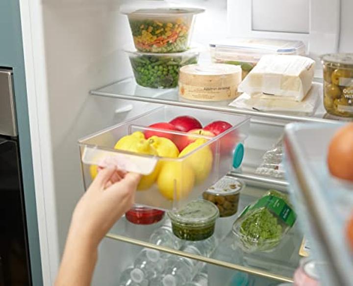 Actual product image Joseph Joseph Fridge Store
