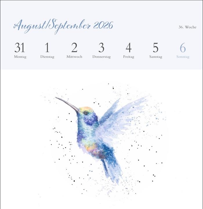Produktbild Hannah Dale: Happy Animals Premium-Postkartenkalender 2026 (165 x 177 mm, Kein Einband, Deutsch)