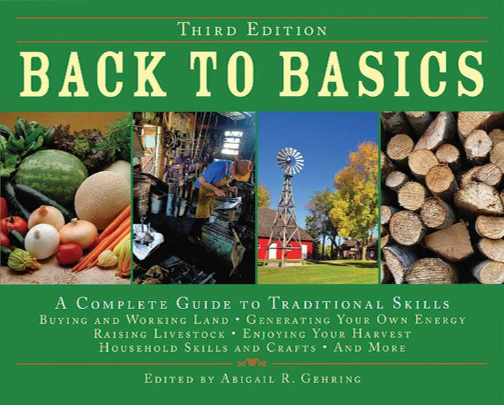 Produktbild Back to Basics (Englisch, Abigail Gehring, 2008)