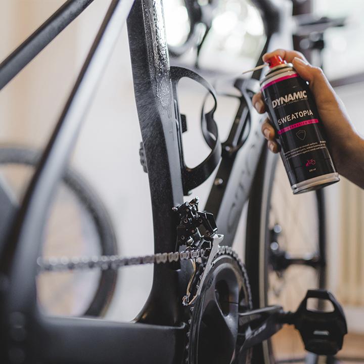 Actual product image Dynamic Bike Care Sweatopia (250 ml, Rust protection, Polish)