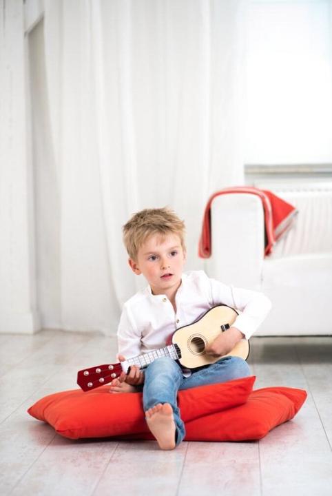 Produktbild Boogie Bee Gitarre (Deutsch, Französisch, Niederländisch, Italienisch, Englisch)