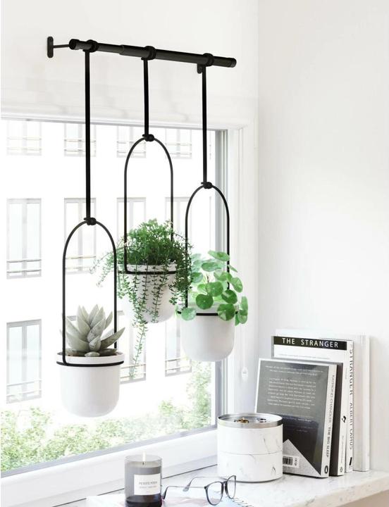 Produktbild Umbra Triflora (15 cm)