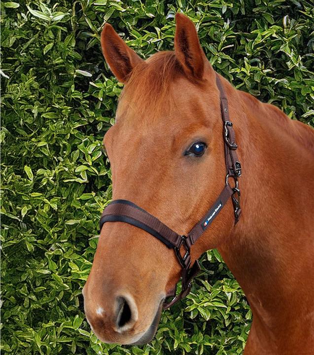 Actual product image Premier Equine Corda