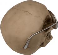 Ootb Kopfhörerhalterung Totenkopf