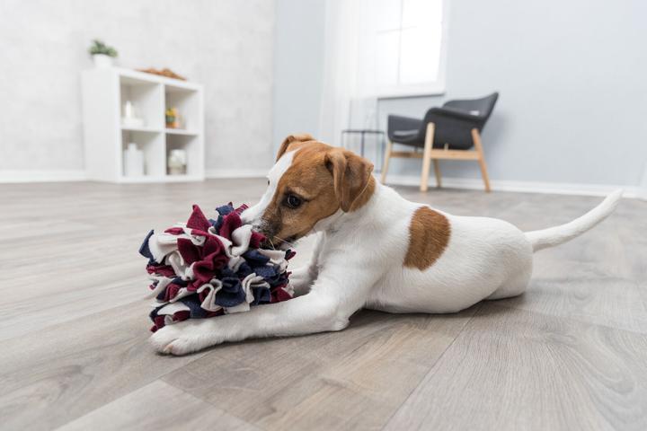 Immagine prodotto Trixie Palla di fiuto (Intelligenza cane toy)
