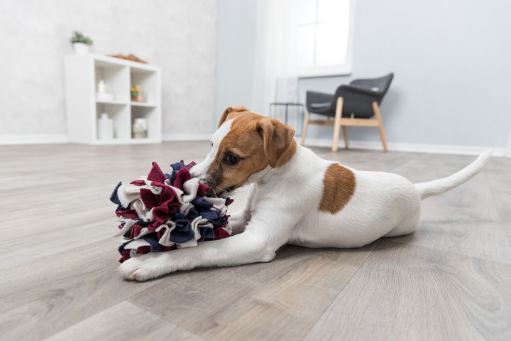 Image du produit Trixie Balle à renifler (Jouet intelligent chien)