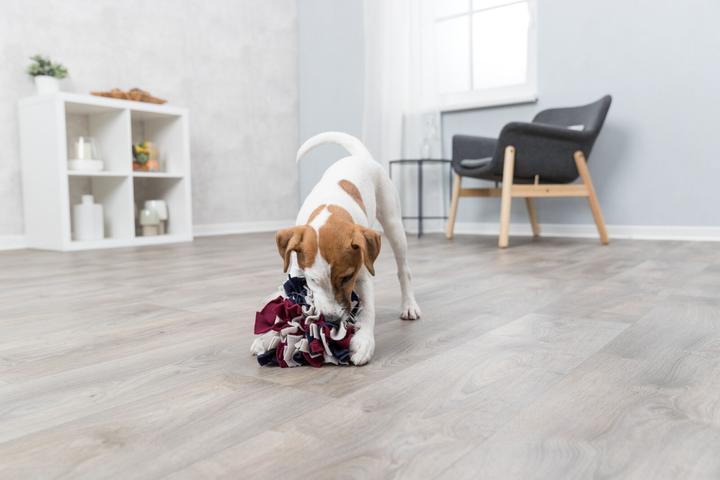 Immagine prodotto Trixie Palla di fiuto (Intelligenza cane toy)