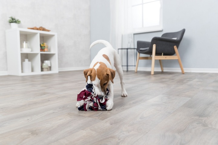 Image du produit Trixie Balle à renifler (Jouet intelligent chien)