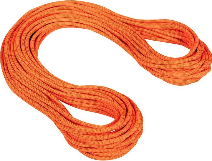 Actual product image Mammut 9.8 Crag Dry climbing rope (70 m)