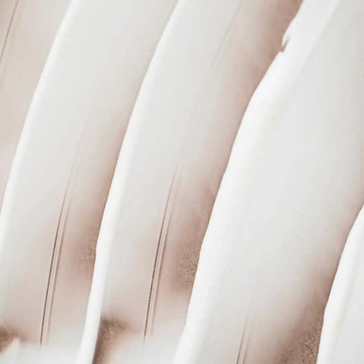 Image du produit Endro Cosmétiques Gesichtscreme pflegendend 50 ml (50 ml, Crème de jour)