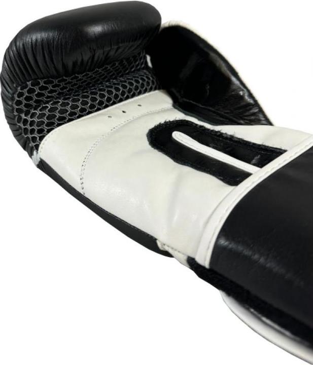 Produktbild Masters RPU-TR 011112-12 Boxhandschuhe (12 OZ)