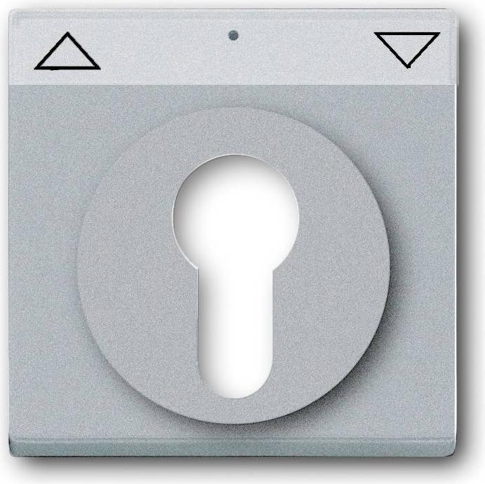 Actual product image Busch-Jaeger Central plate with labelling field 2CKA001710A3662