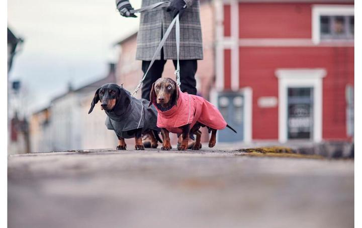 Produktbild Hurtta Expedition Parka II, blackberry 65 (65, Hundemantel)