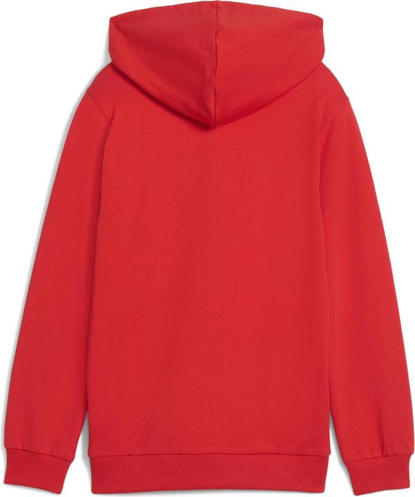 Actual product image Puma teamGOAL Casuals Hoody Jr (164)