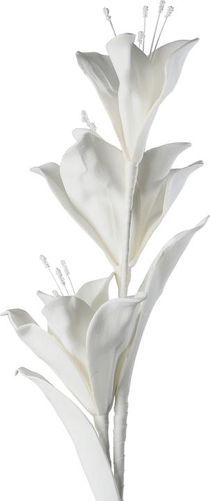 Actual product image EGLO LIVING Molave (85 cm)