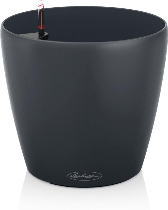 Image du produit Lechuza Classico Color (21.50 x 20.50 cm)