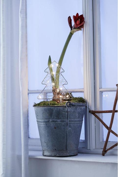 Actual product image Markslöjd fir