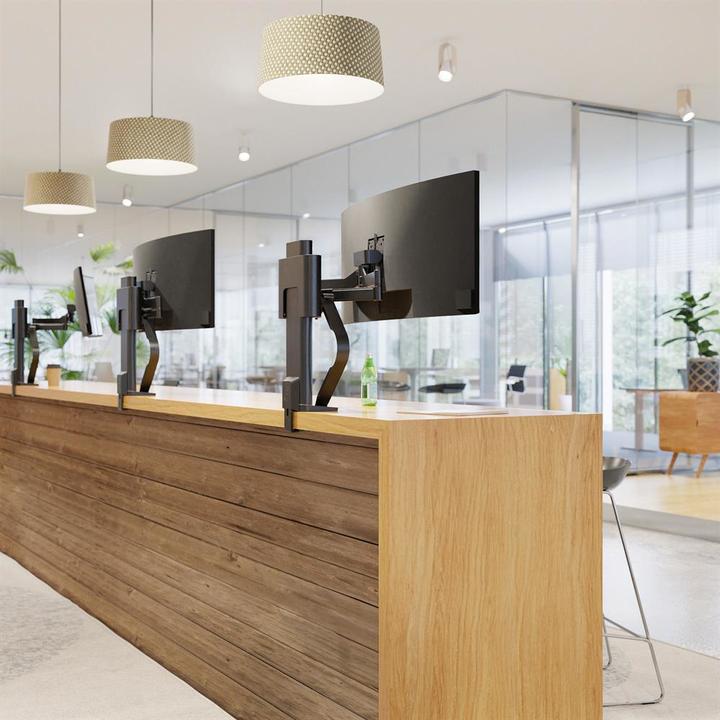 Immagine prodotto Ergotron Supporto Per Monitor A Traccia, Morsetto A Profilo Sottile (Tavolo, 37", 9.80 kg)