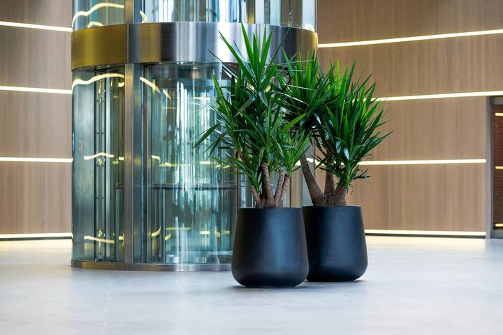 Produktbild Pottery Pots Pax M (44 x 46 cm)