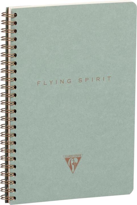 Actual product image Clairefontaine Flying S. Vert, Wrbn d nbk A5 60 sh L ass (AAA393, Checked, Hardcover)