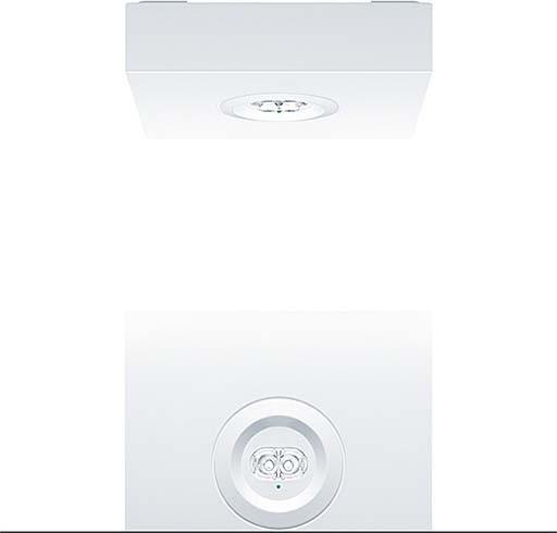 Actual product image Zumtobel Safety light 42185708 (255 lm)