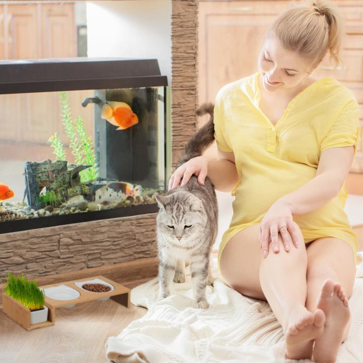 Productafbeelding Relaxdays Kattenvoerstation (0.40 l)