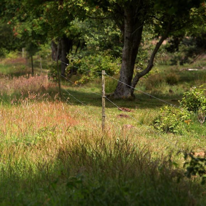 Immagine prodotto Gallagher Insultimber/Eco (x50)