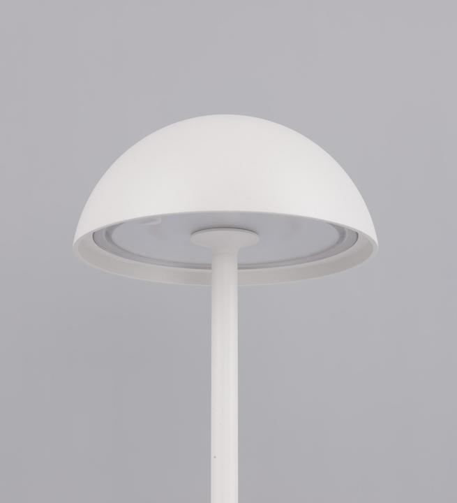 Productafbeelding Nova Luce Roze (207 lm)