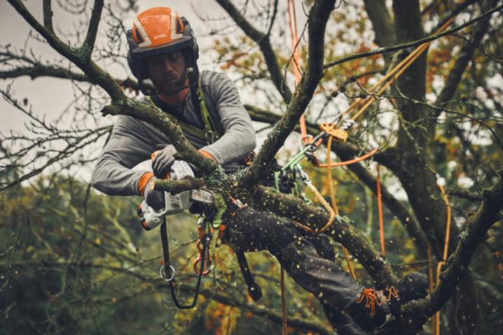 Productafbeelding Stihl GTA 40 Accu Snoeizaag - Met Accu en Lader