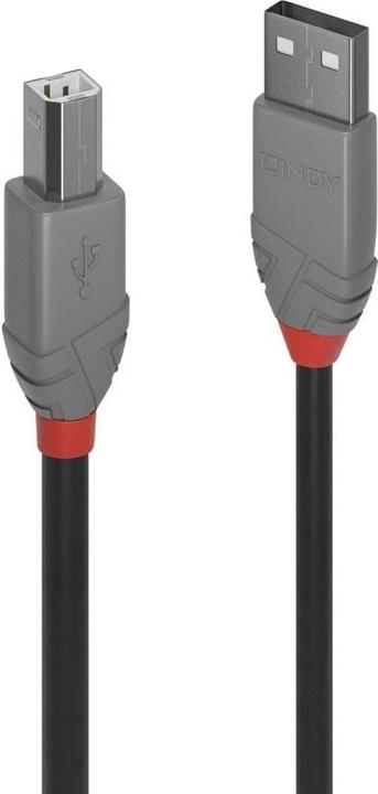 Productafbeelding Lindy USB A-Usb B (5 m, USB 2.0)