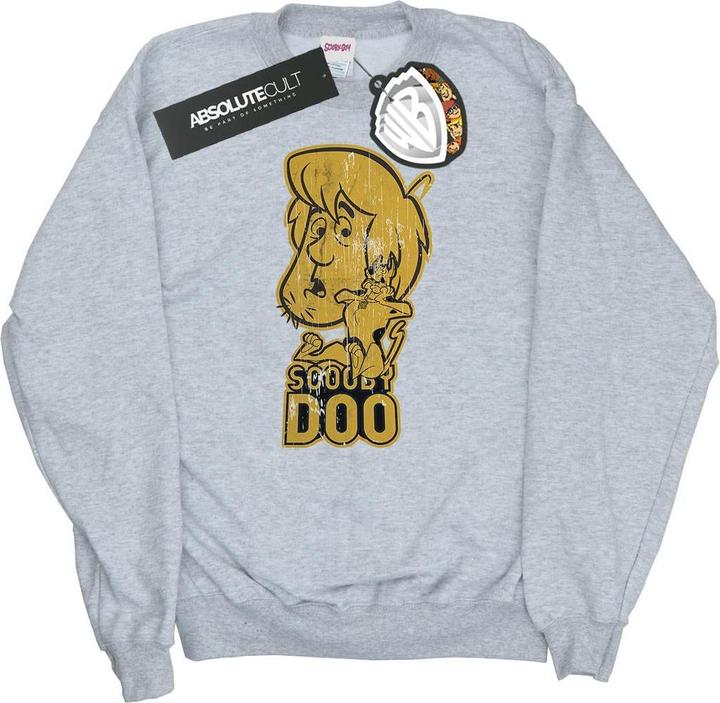 Image du produit Scooby Doo - Sweat AND SHAGGY - Homme (S)