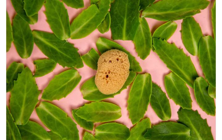 Image du produit Hera Organics Menstruationsschwämme (Mini)