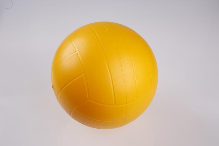 Produktbild ProSoft Kübler Sport® ® Volleyball (5)