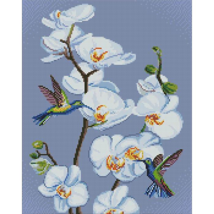 Ideyka Diamond Painting - Blühende Orchideen mit Rahmen 40 x 50 cm