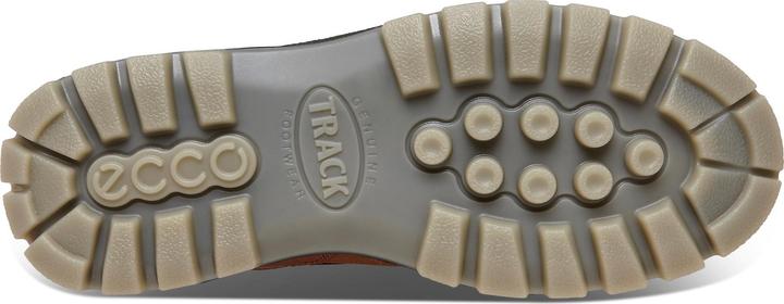 Actual product image Ecco Track 25 Low GTX (43)