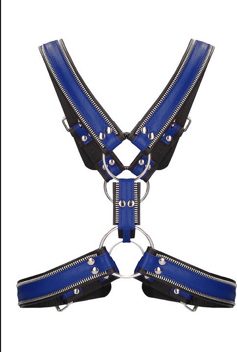 Actual product image Ouch! Z Series Scottish Harness/Blue - S/M