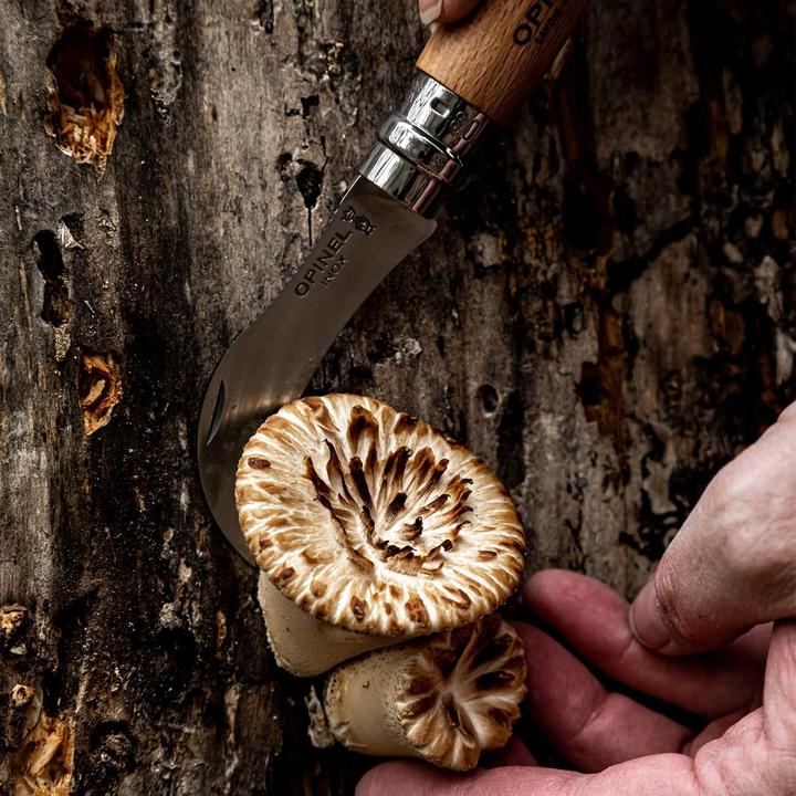 Image du produit Opinel Pilzmesser (8 cm)