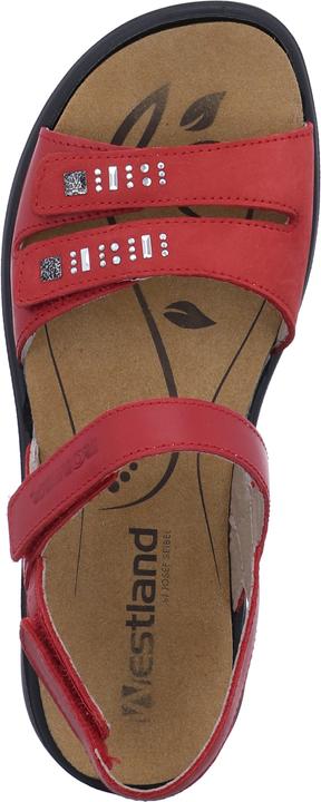 Actual product image Westland 16786-96 (41)