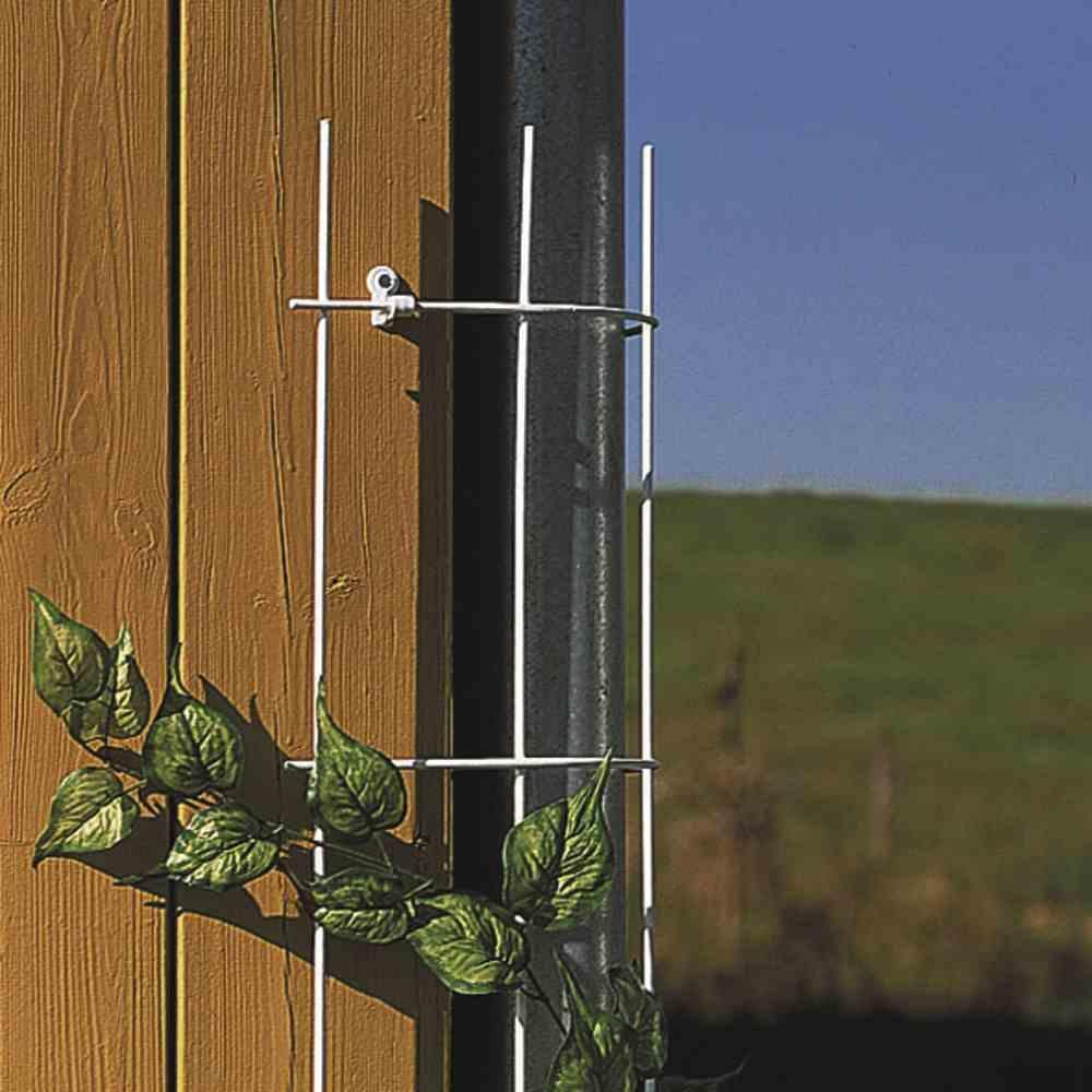 Siena Garden, Pflanzen Zubehör, Fallrohrspalier (150 cm, 26.50 cm)
